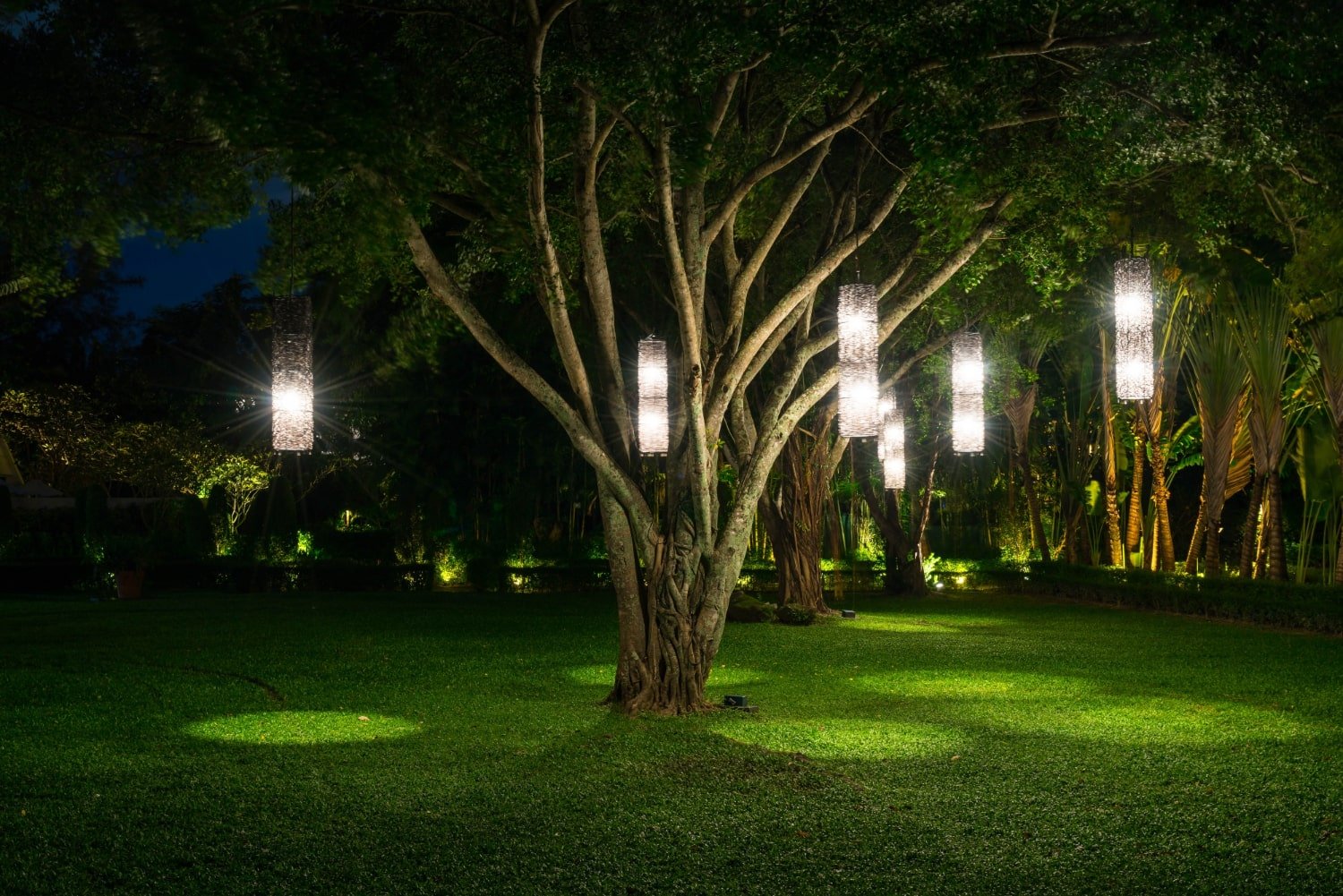 Read more about the article Best Outdoor Solar Flower Lights For Gardens