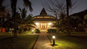 Read more about the article Best Solar Ground Lights To Light-up Your Outdoor In a Unique Way