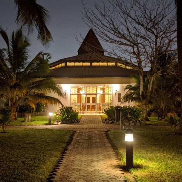 best Best Solar Ground Lights to decorate your outdoor space
