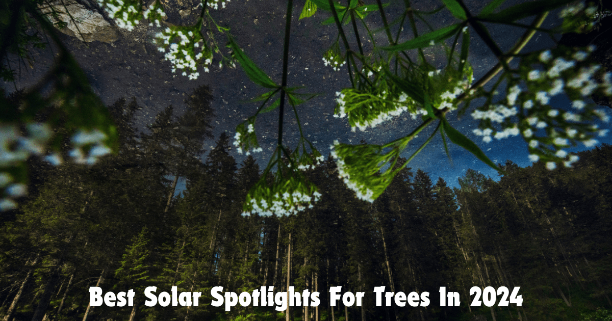 Best Solar Spotlights For Trees In 2024